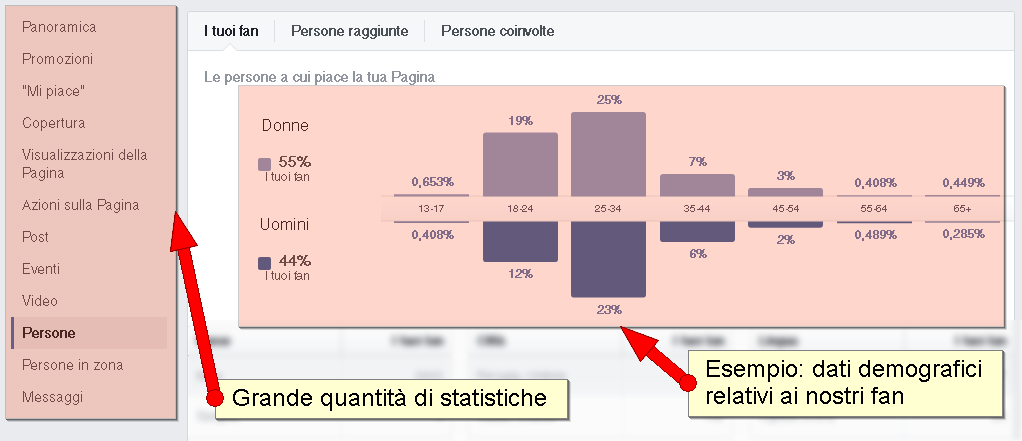 facebook insight statistiche demografiche fan