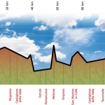 grafico realizzato per sito internet