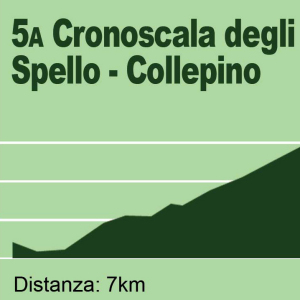 grafica giornale spazio pubblicitario